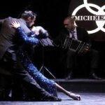 Michelangelo Tango Show Skip The Line Ticket W/Optional Dinner In Buenos Aires - Who Should Consider This Tour?