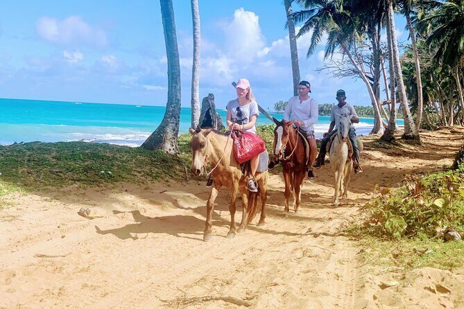 Miches Beach Horseback Riding - The Value of Miches Beach Horseback Riding