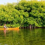 Miches: El Limón Lagoon Guided Kayak Tour with Guide - Practical Tips for Your Tour
