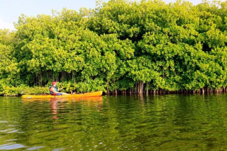 Miches: El Limón Lagoon Guided Kayak Tour with Guide - Practical Tips for Your Tour