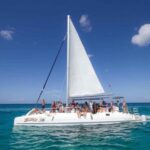 Miches: Isla Saona Day Trip with Catamaran & Lunch - The Value of This Experience