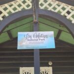 Miches: Los Haitises, Transfer, Walking & Boat tour. - Does the Tour Deliver Good Value?