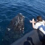 Miches or Sabana de la mar Whale Watching Tour - Final Thoughts: Is This Tour Right for You?