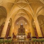 Miches: Santo Domingo Private Tour with Dominican Charm - Exploring Santo Domingo in Depth