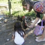 Milking cows and breakfast at "El Terruño de los Torres" - Exploring the Farm: What to Expect
