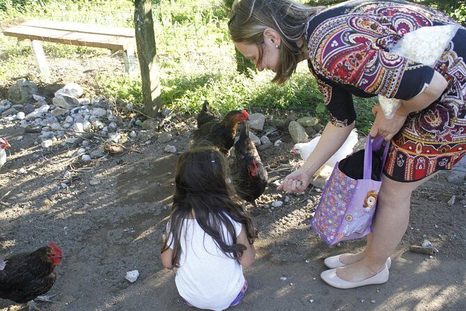 Milking cows and breakfast at "El Terruño de los Torres" - Exploring the Farm: What to Expect