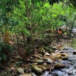 Minca - Coffee And Cocoa Tour - FAQ About the Minca Coffee and Cocoa Tour