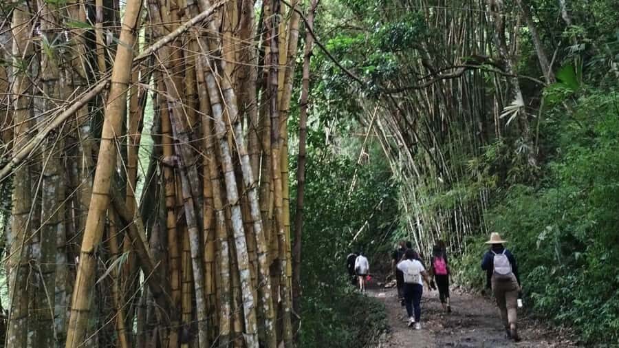 Minca: Hidden Waterfall + Coffee and Cocoa Workshop - Exploring Minca: A Closer Look at the Experience