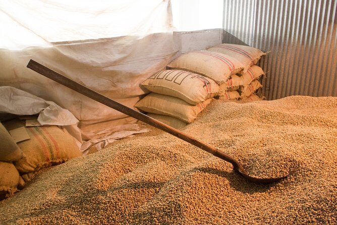 Minca, Waterfalls and Coffee Farm Tour from Santa Marta - Who Would Love This Tour?