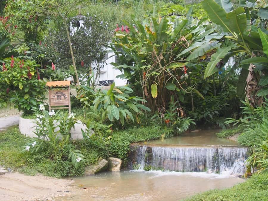 Minca, Waterfalls & Coffee Farm Tour - Frequently Asked Questions (FAQs)