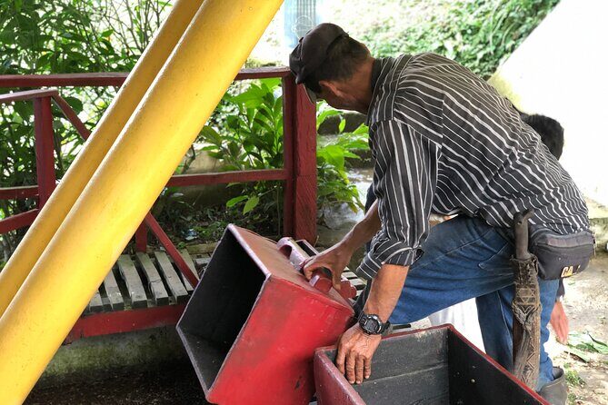 Minca's Essentials: Coffee Brews, Hiking, and Adventure - Who Should Consider This Tour?