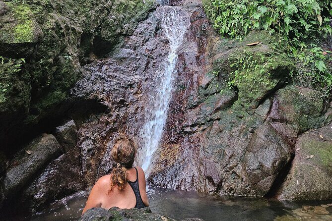 Mindfulness Rainforest Hike, Forest Bathing, Volcanic Hot Springs - A Closer Look at the Experience