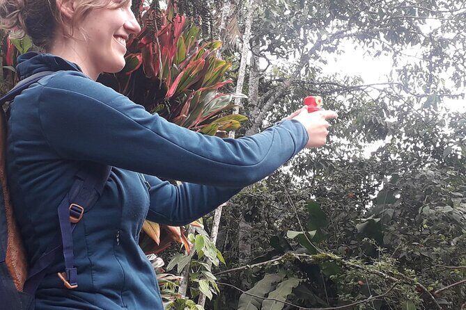 Mindo Bird Watching Tour from Quito - Transport, Duration, and Practicalities