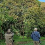 Mindo Cloud-Forest birding and naturalist tour - Who Will Love This Tour?