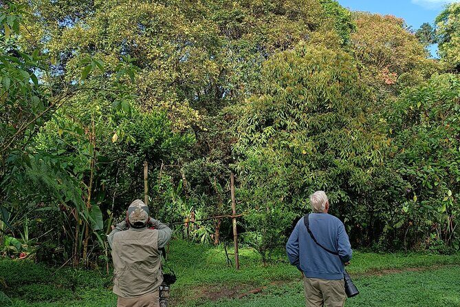 Mindo Cloud-Forest birding and naturalist tour - Who Will Love This Tour?