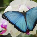 Mindo Cloud Forest Full Day Tour from Quito - Why This Tour Provides Great Value