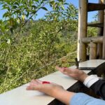 Mindo Cloud Forest Full-Day Tour from Quito with Lunch - Authentic Experiences and Expert Guidance