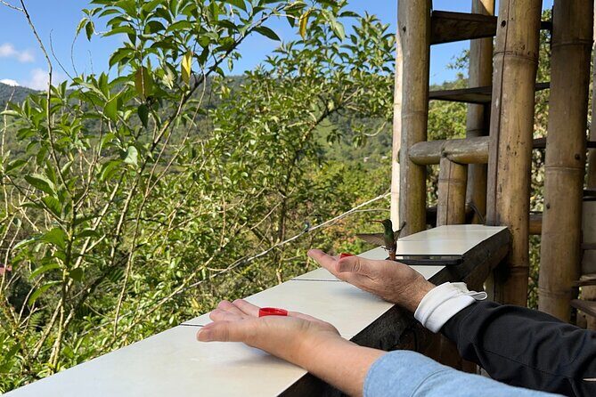 Mindo Cloud Forest Full-Day Tour from Quito with Lunch - Authentic Experiences and Expert Guidance