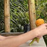 Mindo Cloud Forest & Middle of the World Tour from Quito - Exploring Quito’s Natural and Geographic Wonders