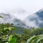 MINDO CLOUD FOREST: Nature & Adventure - Flexible Private Day Tour - What to Expect on the Tour