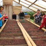 Mindo Cloud Forest Private Day Tour and Chocolate Factory - Who Should Consider This Tour?