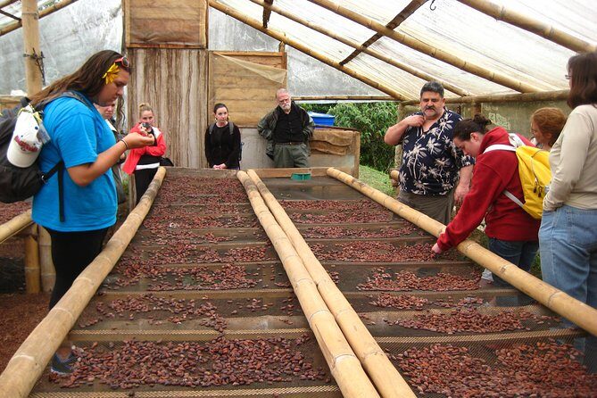 Mindo Cloud Forest Private Day Tour and Chocolate Factory - Who Should Consider This Tour?