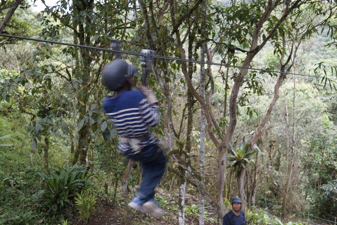 Mindo Cloudforest and Birdwatching from Quito BY ECUADORTREASURE - Final Thoughts: Is It Worth It?