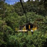 Mindo Tour with traditional breakfast at Hummingbirds Sanctuary - Who Should Consider This Tour?