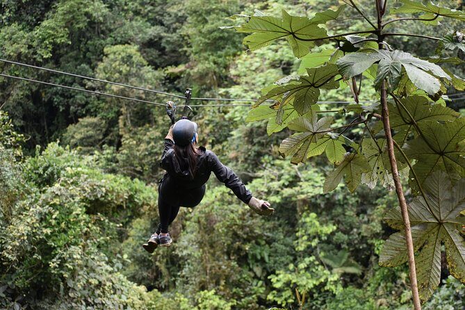 Mindo Ziplines Tours / Canopy Tour / Zip Line - A Closer Look at the Mindo Ziplines Experience
