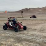 Mini Buggy GO KART in Paracas National Reserve - What to Expect on the Drive