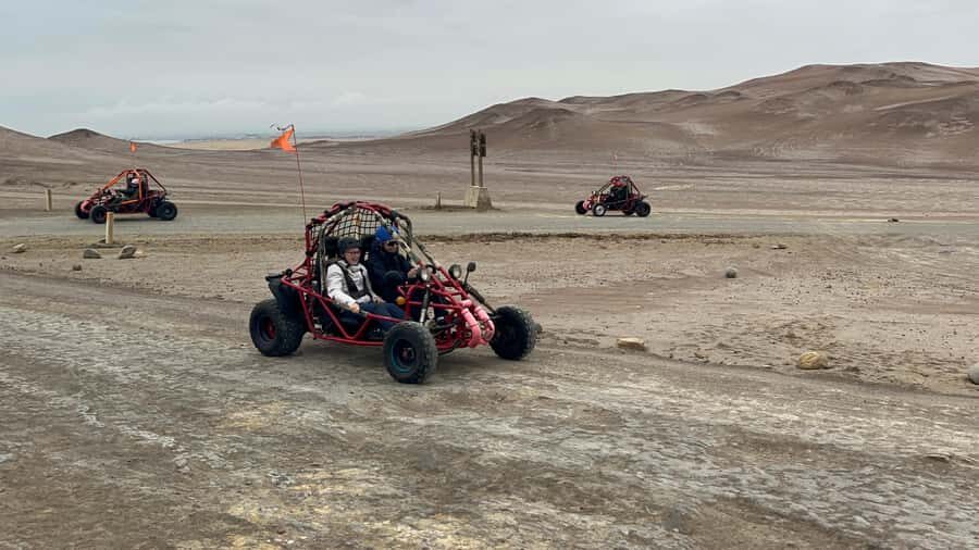 Mini Buggy GO KART in Paracas National Reserve - What to Expect on the Drive