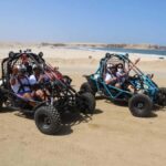 Minibuggy Adventure and visit to the Paracas Reserve - Exploring the Paracas Reserve