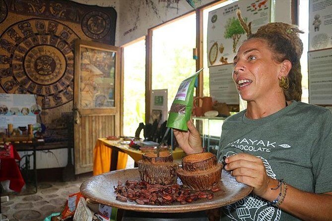 Minivan with Local Guide (3-6 Guests) Private Tour - A Deep Dive into the Roatan Private Tour Experience