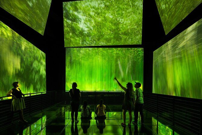 Miraflores canal Locks Amador causeway and Biomuseo private tour - Transportation and Comfort