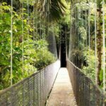 Mistico Arenal Hanging Bridges - The Sum Up