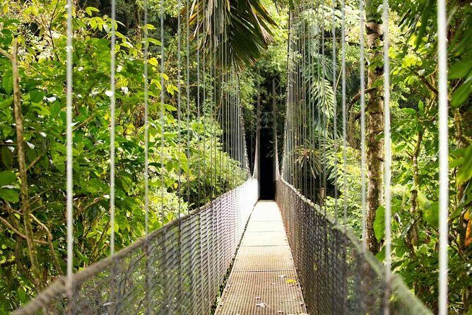 Mistico Arenal Hanging Bridges - The Sum Up