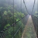 Mistico Hanging Bridges AM or PM, Guide & Transport - Authentic Experiences and Honest Feedback