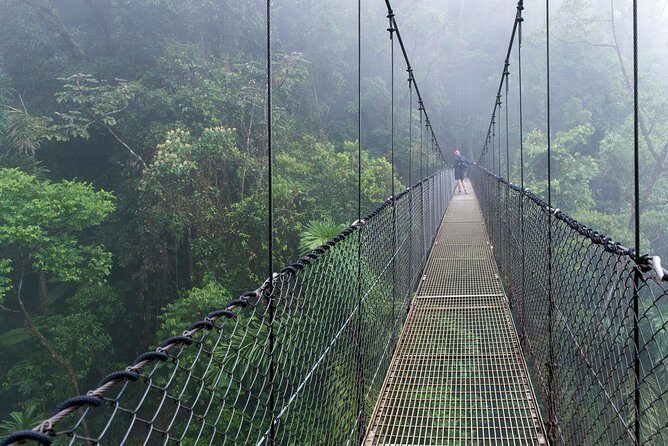 Mistico Hanging Bridges AM or PM, Guide & Transport - Authentic Experiences and Honest Feedback