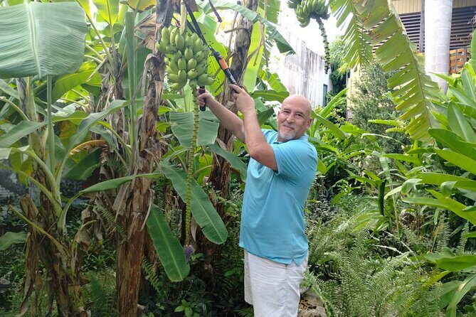 Modern Puerto Rican Cooking Class in a Historic San Germán Home