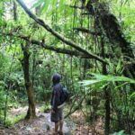 Mombacho Volcano Cloud Forest - An In-Depth Look at the Mombacho Volcano Cloud Forest Tour
