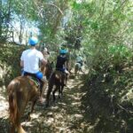 Monkey Encounter and Horse-Riding Tour in Puerto Plata - Final Thoughts: Is This Tour Right for You?