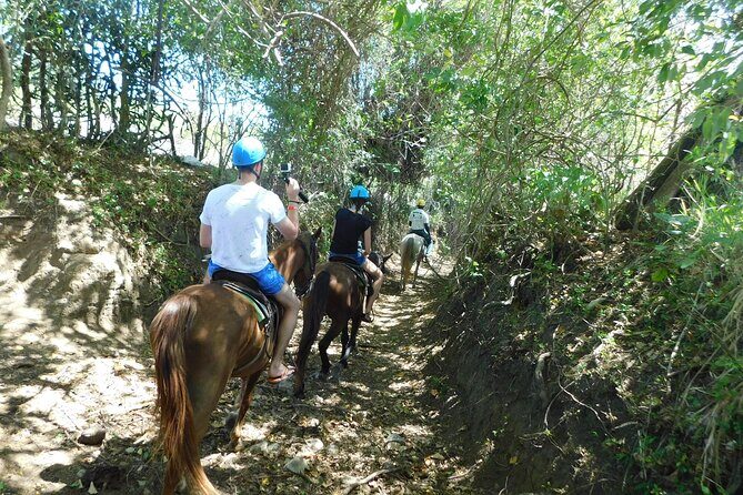 Monkey Encounter and Horse-Riding Tour in Puerto Plata - Final Thoughts: Is This Tour Right for You?