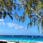 Monkey Feeding And Beach Day In Barbados - Who Should Consider This Tour?