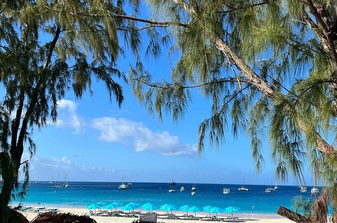 Monkey Feeding And Beach Day In Barbados - Who Should Consider This Tour?