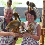 Monkey Home Puerto Plata Countryside Tour - A Closer Look at the Monkey Home Puerto Plata Countryside Tour