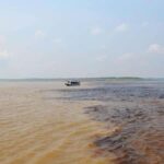 Monkey Island Amazon Adventure - An In-Depth Look at the Monkey Island Amazon Adventure