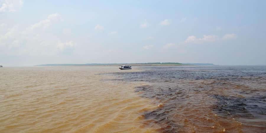 Monkey Island Amazon Adventure - An In-Depth Look at the Monkey Island Amazon Adventure