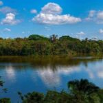 Monkey Island + Lake Sandoval 2D/1N - Who Will Love This Tour?