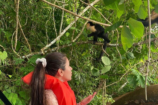 Monkey Island: The Wild Life Safari at Gatun Lake - Final Thoughts: Is It Worth It?