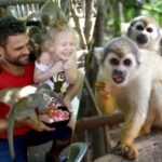 Monkey jungle tour + Transportation from cruise/hotel - A Deep Dive into the Monkey Jungle Tour Experience